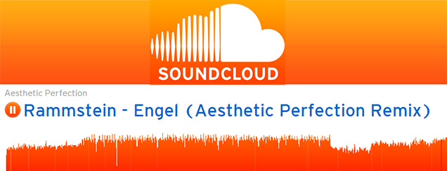 Rammstein - Engel (Aesthetic Perfection Remix)